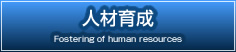 lވ琬